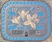 �V���l�s��C��