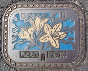 �V���l�s��C��