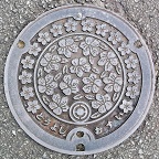 ���\�s�}���z�[��