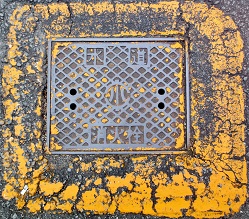 �F�a���s���ΐ�