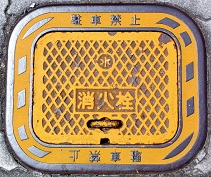 �F�a���s���ΐ�