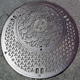 �V�����l�s�}���z�[��