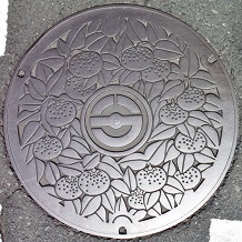 �����l�s�}���z�[��