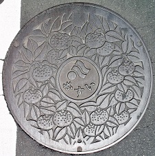 �V�����l�s�}���z�[��