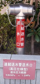 ���؎s������