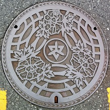 �����R�s�}���z�[��