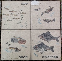 ���s����