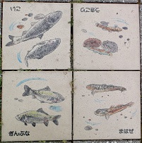 ���s����