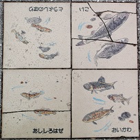 ���s����