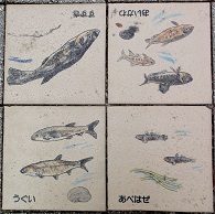 ���s����