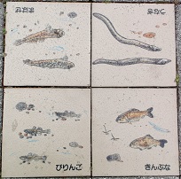 ���s����