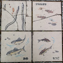 ���s����