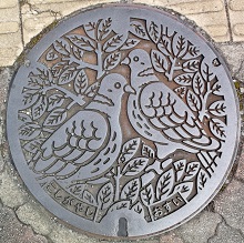 �z�J�s�}���z�[��