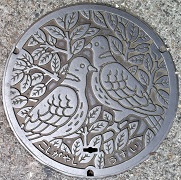 �z�J�s�}���z�[��