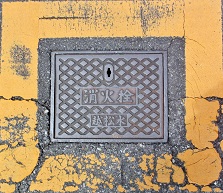 �z�J�E����������ƒc���ΐ�