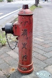 �z�J�s���̏��ΐ�