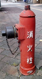 �z�J�s���̏��ΐ�