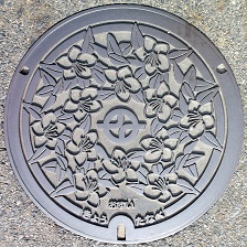 ���c�ӎs�}���z�[��