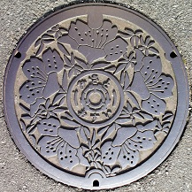 �O���s�}���z�[��