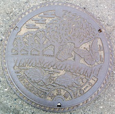 ��ʌ��}���z�[��