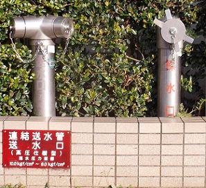 ���͌��s������