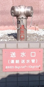 ���͌��s������