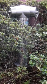 ���͌��s������