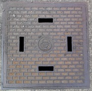 ���͌��s���a�W