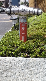 �˓c�s������