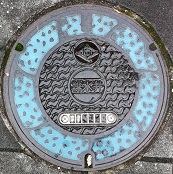 �����ێs�r����