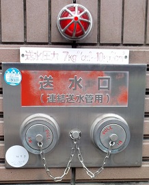 �����ێs������