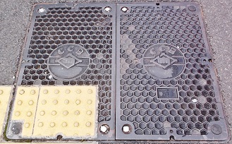 �����ێs�����a