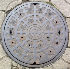 �D���s�}���z�[��