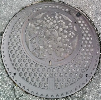 �R�s�}���z�[��