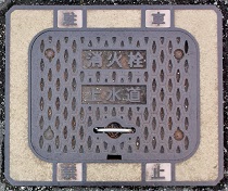 �R�s���ΐ�