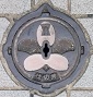 豊橋市マンホール