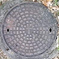 ���{�}���z�[��