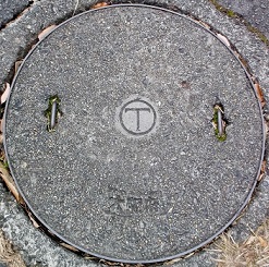 ���{�}���z�[��