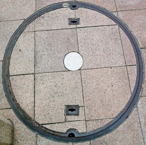 ���Ɍ������a