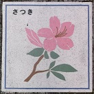 ����s����