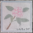 ����s����