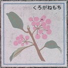 ����s����