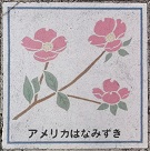 ����s����