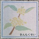 ����s����