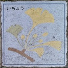 ����s����