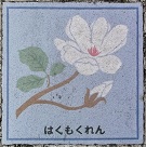 ����s����