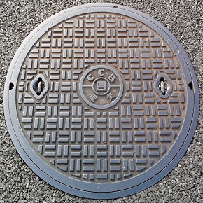 ���Ɍ������a