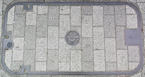 ���{�����a