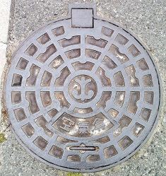 ��_������C��