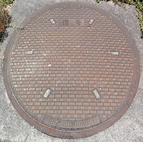 �F���s�}���z�[��